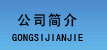 公司简（jiǎn）介